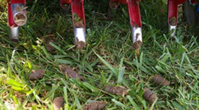 Core Aeration Services in Austin, TX