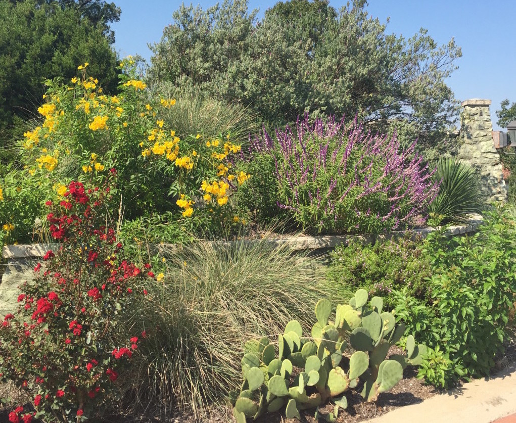 Grass Works Lawn Care Austin Native Plant Install Common Area 3 (1)