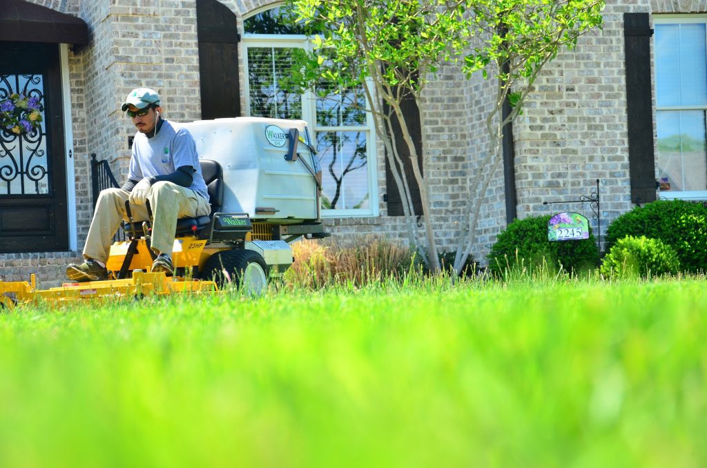 Don’t DIY: 5 Reasons To Hire A Lawn Care Professional 3
