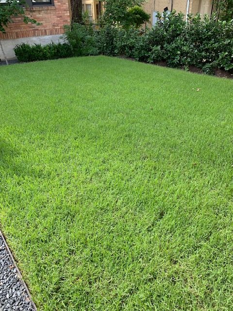 https://www.grassworksaustin.com/wp-content/uploads/2022/07/Grass-Works-Austin-Four-Points-Lawn-8-e1566245644972.jpg