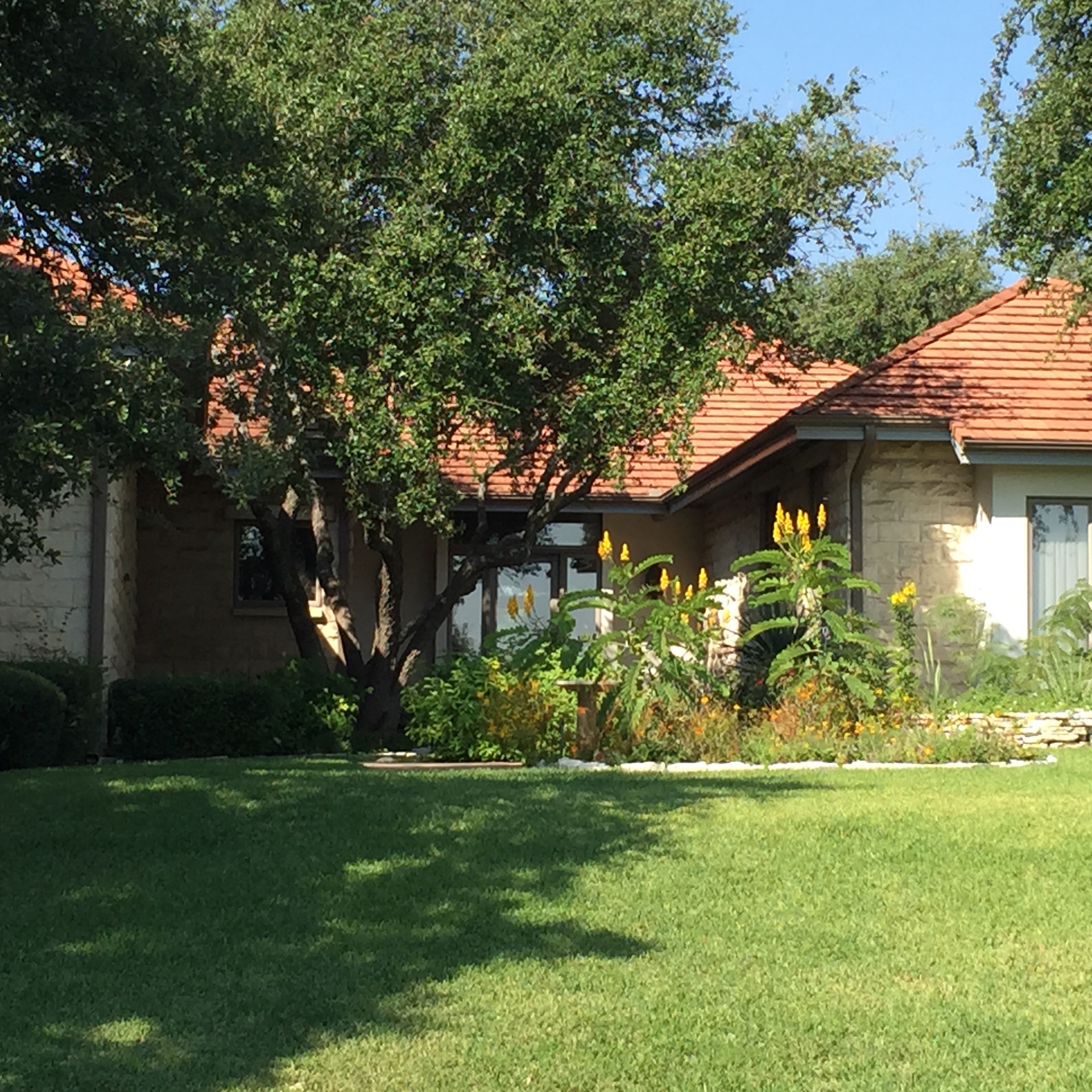 https://www.grassworksaustin.com/wp-content/uploads/2022/07/Grass-Works-Lawn-Care-Austin-Lawn-Maintenance-Westlake.jpg