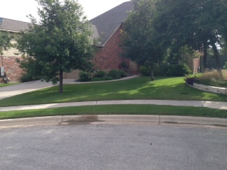 https://www.grassworksaustin.com/wp-content/uploads/2022/07/Grass-Works-Lawn-Care-Austin-Leander-Lawn-Maintenance.jpg