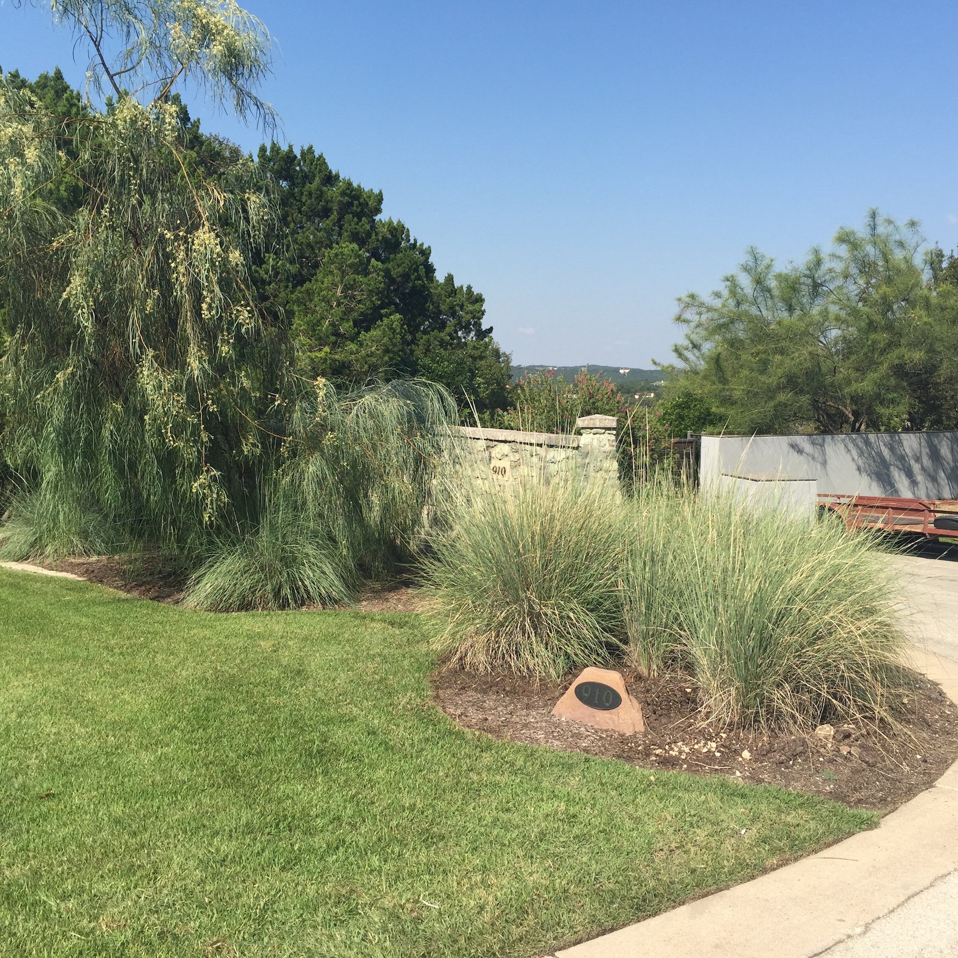 https://www.grassworksaustin.com/wp-content/uploads/2022/07/Grass-Works-Lawn-Care-Austin-Native-Plant-Install-Common-Area-2-1-1.jpg