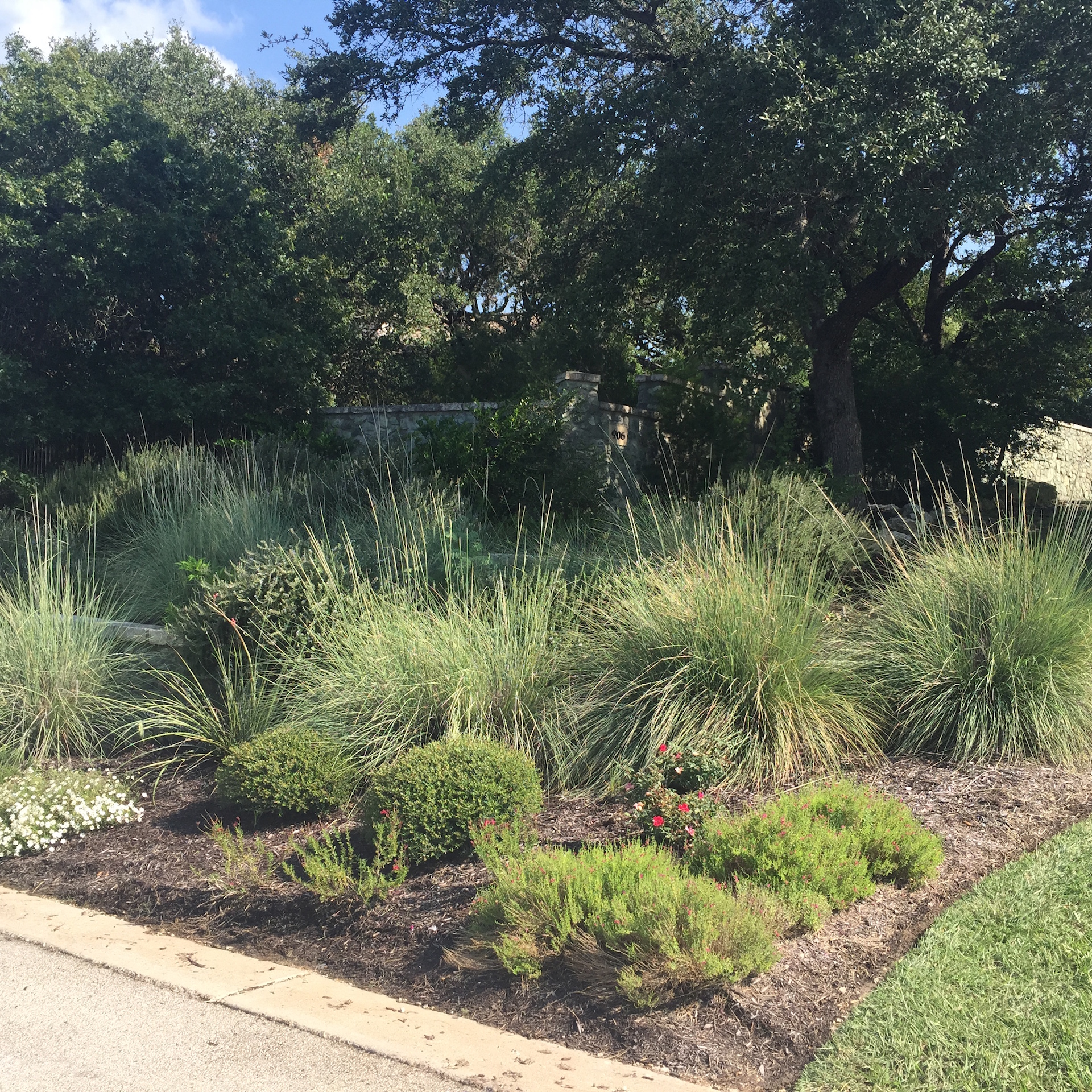 https://www.grassworksaustin.com/wp-content/uploads/2022/07/Grass-Works-Lawn-Care-Austin-Native-Plant-Install-Common-Area-3.jpg