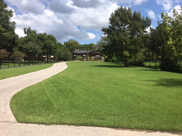 https://www.grassworksaustin.com/wp-content/uploads/2022/07/Grass-Works-Lawn-Care-Lake-Austin-Lawn-1.jpg