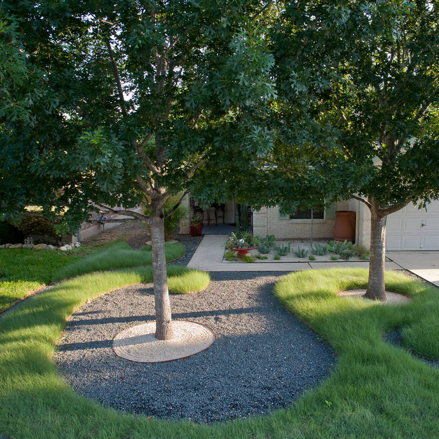 Tree & Hedge Pruning