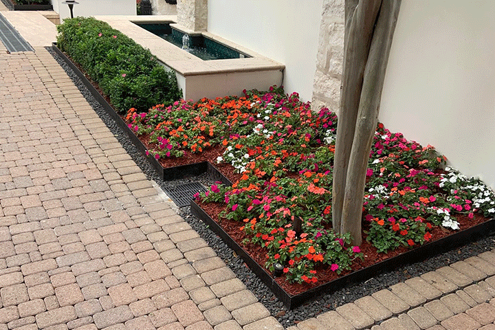 Landscape Services in Austin, TX