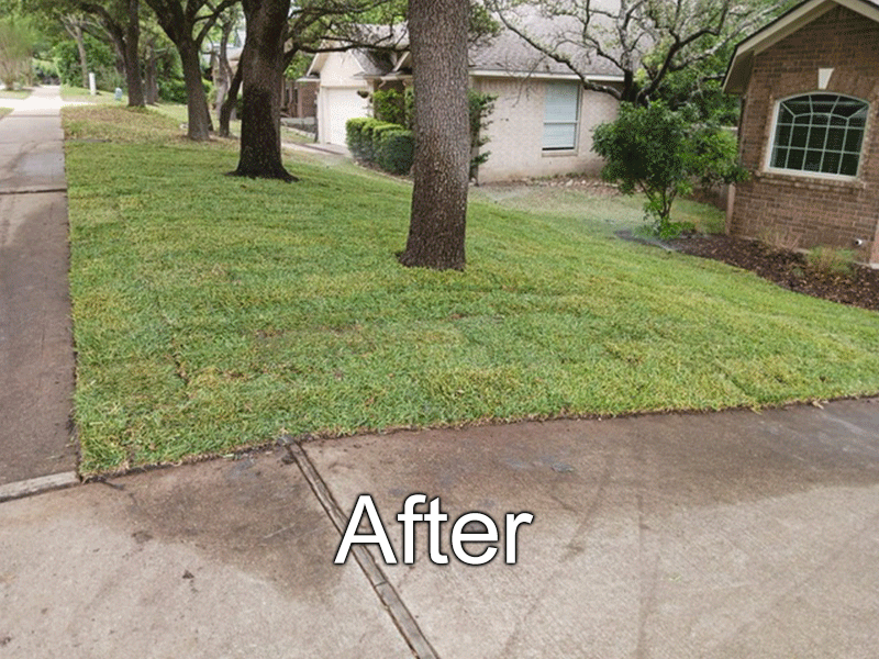 https://www.grassworksaustin.com/wp-content/uploads/2022/08/after.png