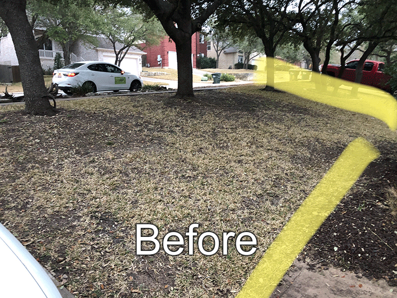 https://www.grassworksaustin.com/wp-content/uploads/2022/08/before.png