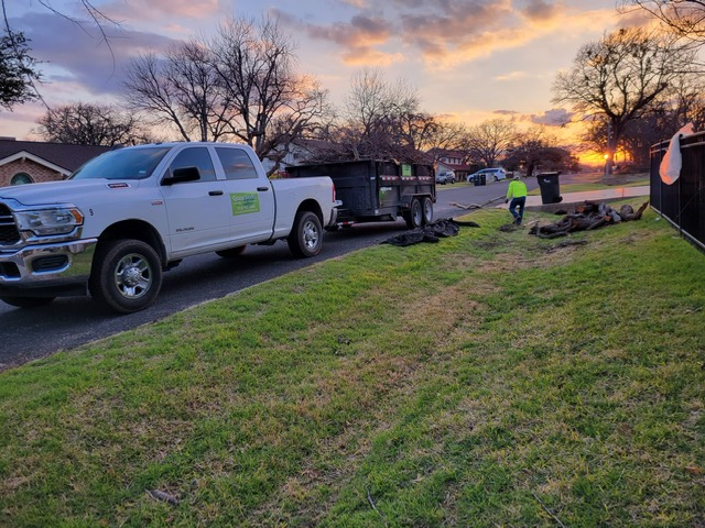 https://www.grassworksaustin.com/wp-content/uploads/2023/03/Tree-Work-Photos-Winter-Storm-6.jpg