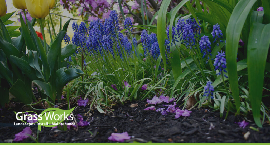 When to Put Down Mulch in Texas