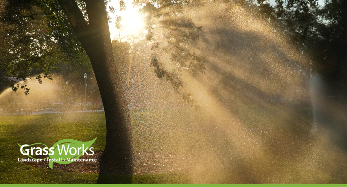 Benefits of an Irrigation System for Your Lawn
