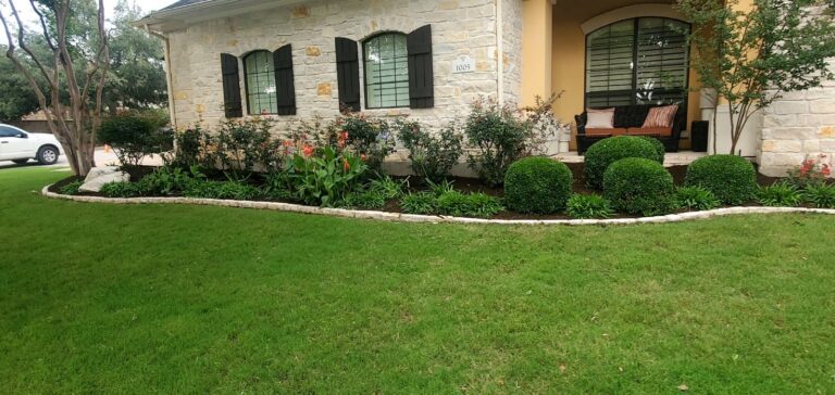 Plant Installation in Austin, TX