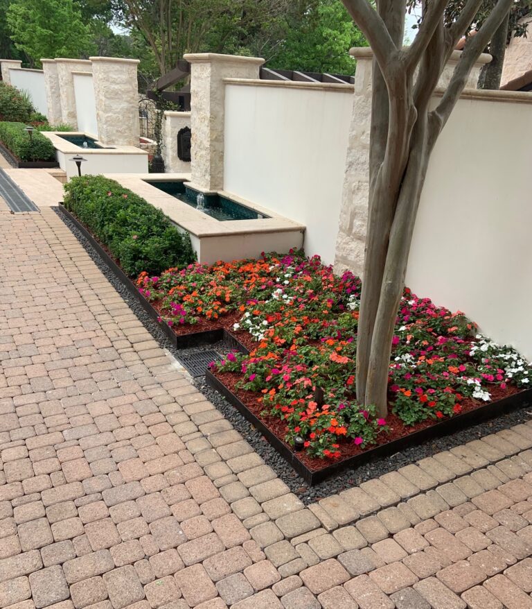 Plant Installation in Austin, TX