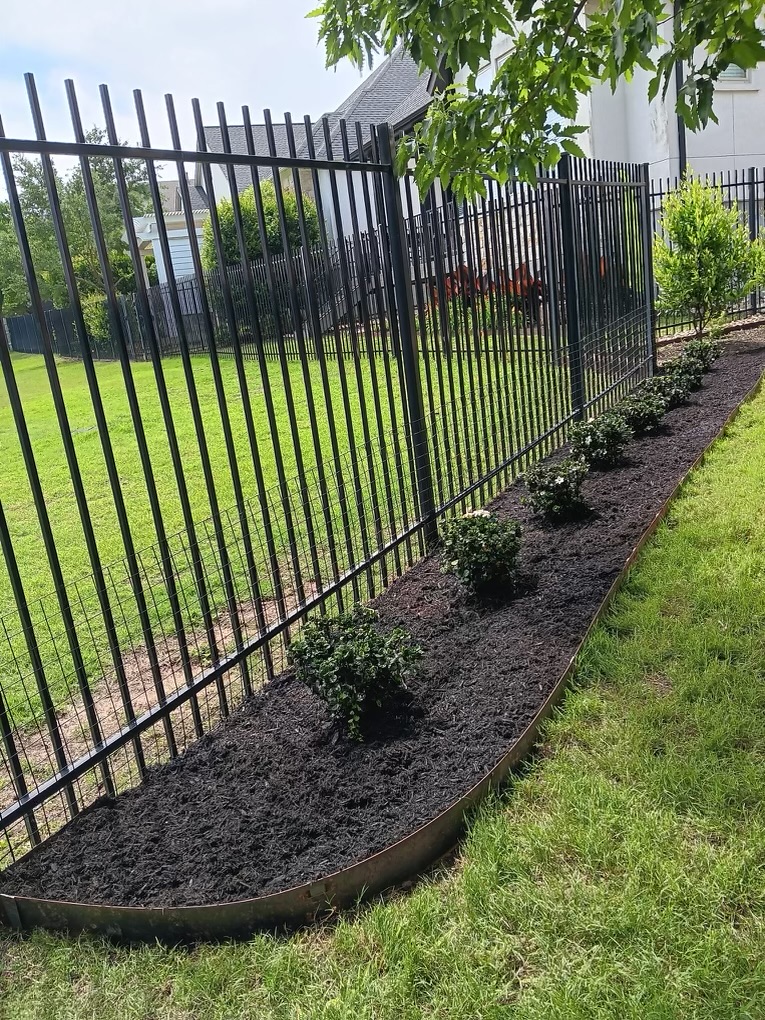 Plant Installation in Austin, TX