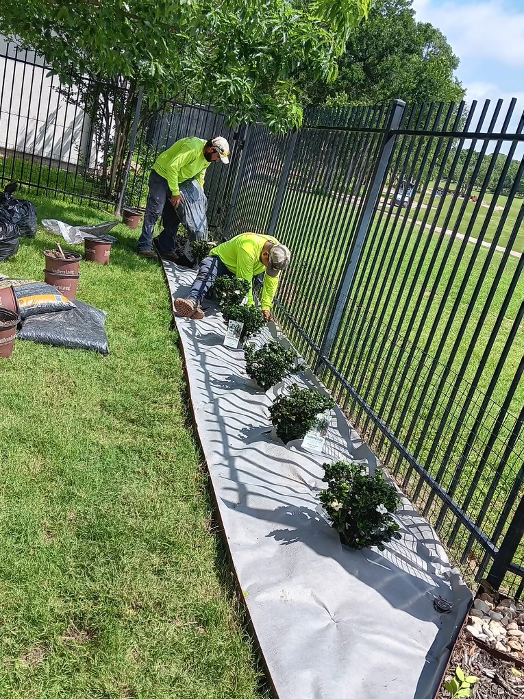 Plant Installation in Austin, TX