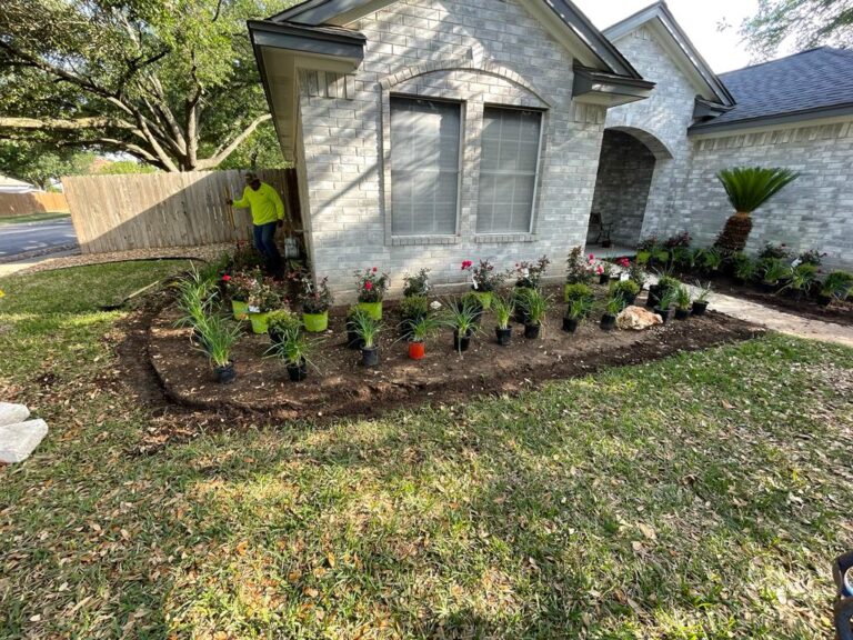 Plant Installation in Austin, TX