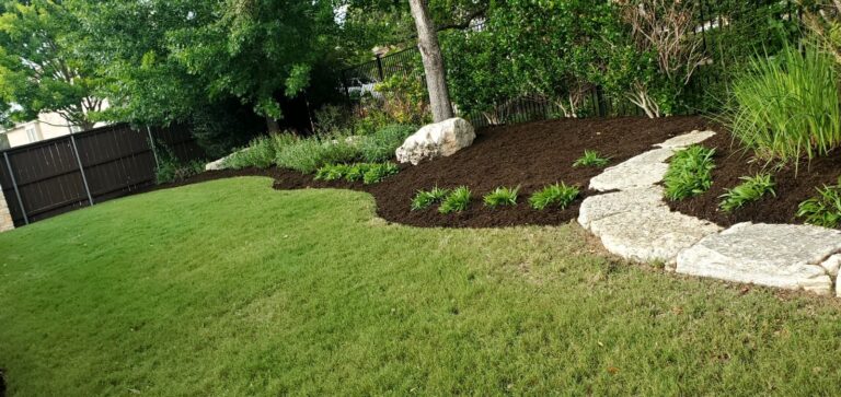 Plant Installation in Austin, TX