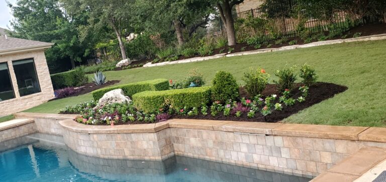 Plant Installation in Austin, TX