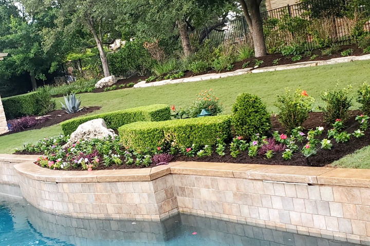 Plant Installation Service in Austin, TX