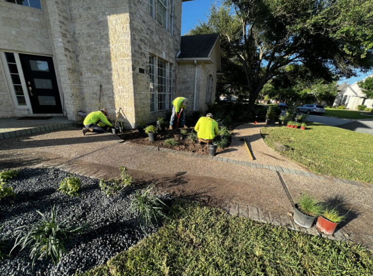Plant Moving & Tear Out Service in Austin, TX