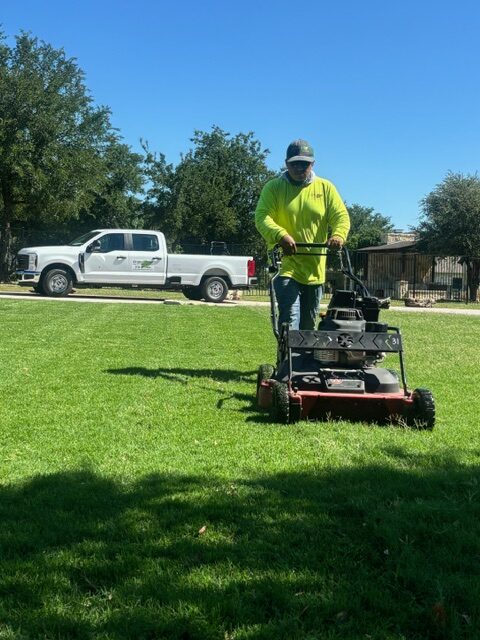 lawn care 1 rotated