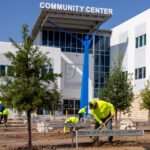 Grass Works Austin Lawn Care - Residential and Commercial Landscaping Services