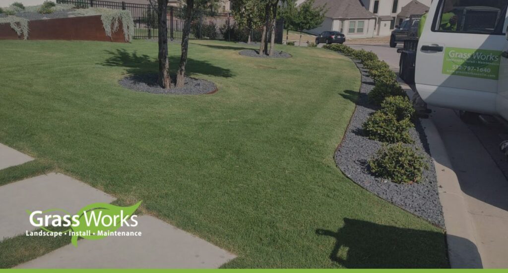 Best Grass Types for Austin Texas Lawns