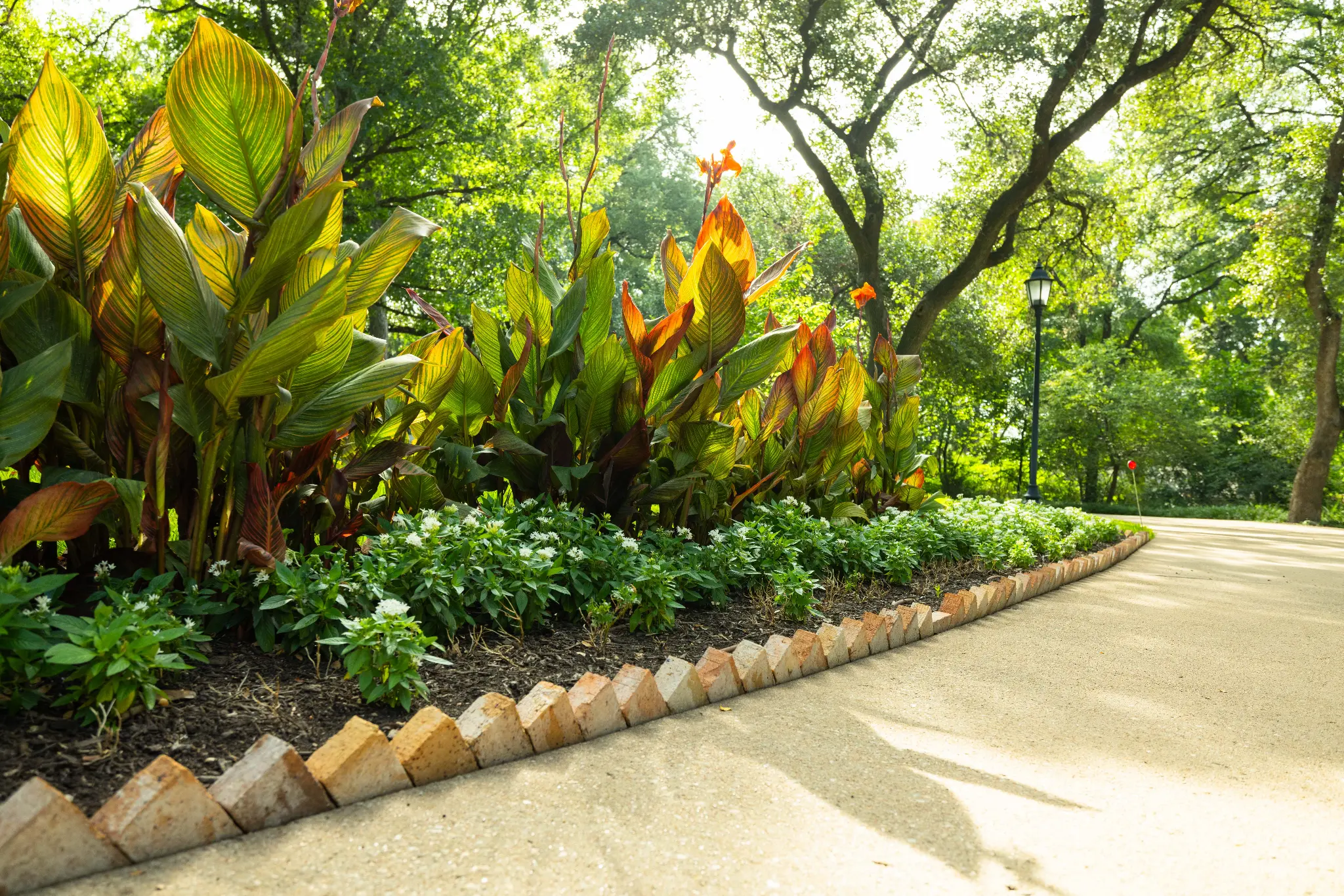canna bed path f4e8d789