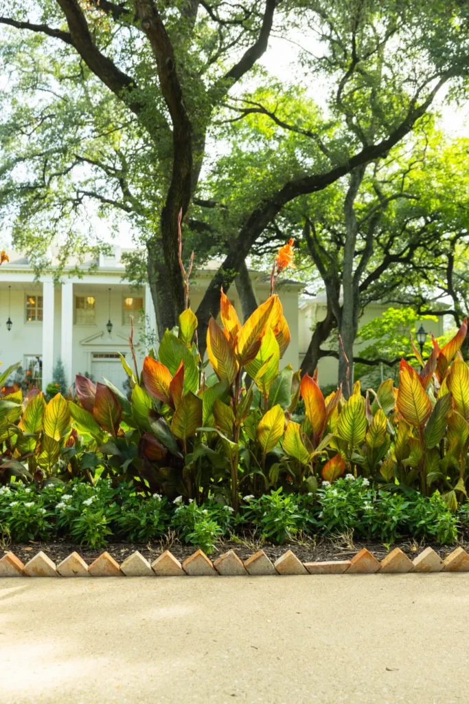 Mulch Installation in Austin, TX | Cedar Mulch | Grass Works