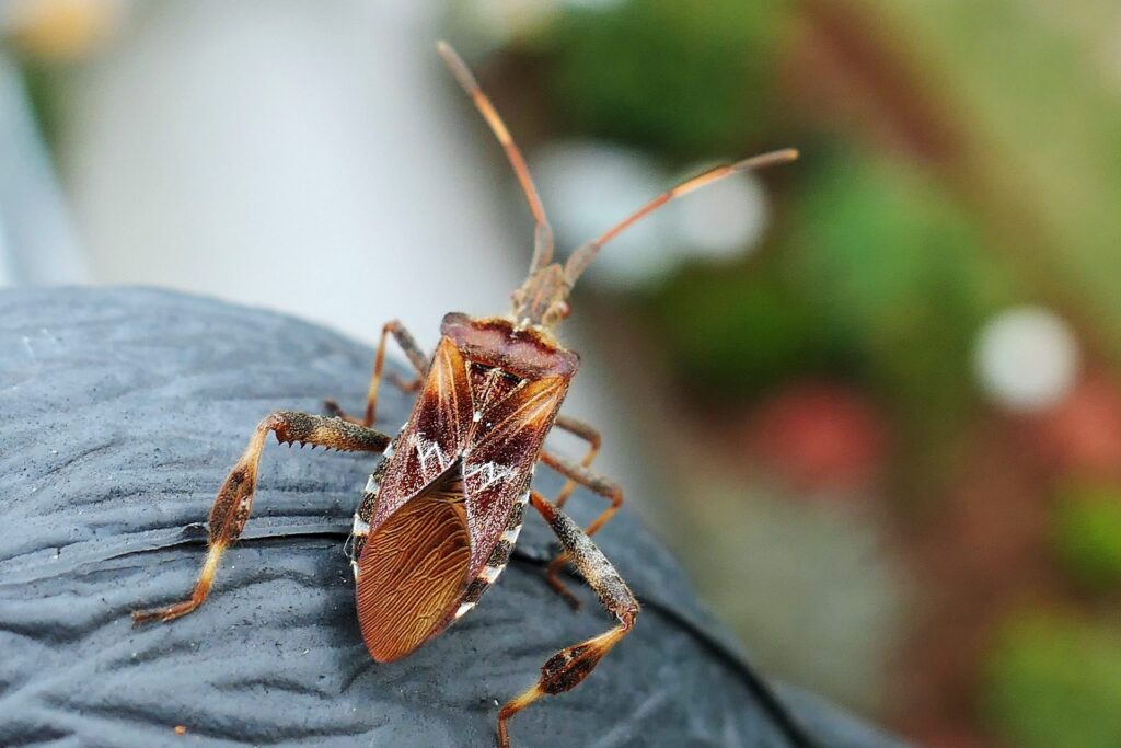 bug 3761379 1920