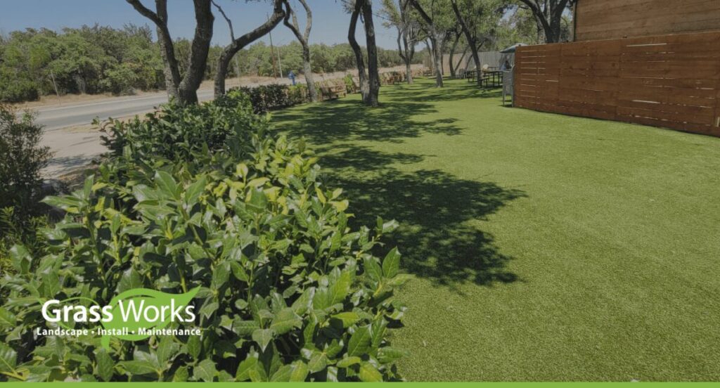 how to get rid of crabgrass without chemicals image