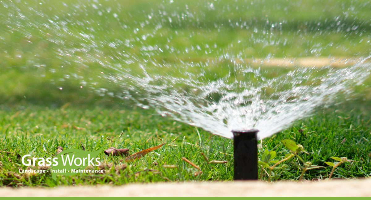 irrigation system audit image