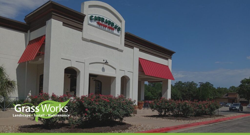 Commercial landscaping at a Bee Cave, TX retail property maintained by Grass Works