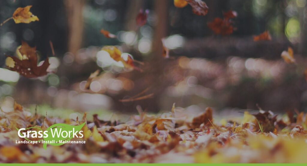 Austin lawn during fall cleanup season as part of a fall lawn care checklist