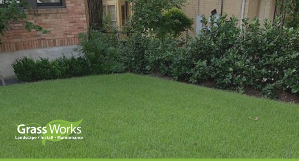 Healthy Central Texas lawn during spring lawn preparation in Austin