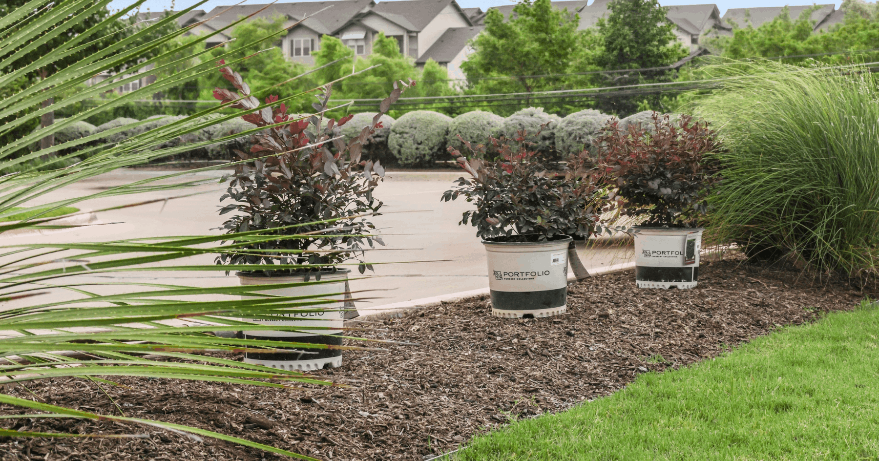 Landscape Redesign Enclave at RR Plants Laid out
